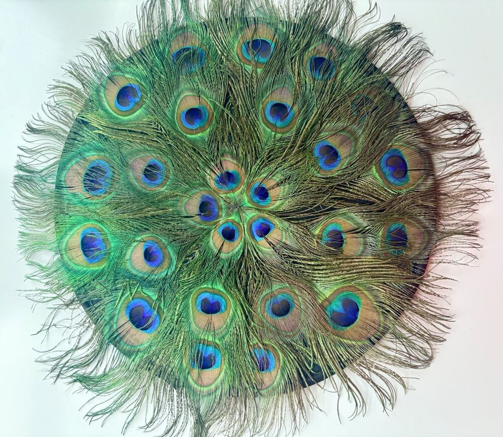Peacock Placemat Pier One Round Centerpiece Natural Feather 15” Glam Charger